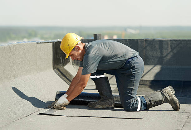 Best Insulation Removal Services  in Pass Christian, MS