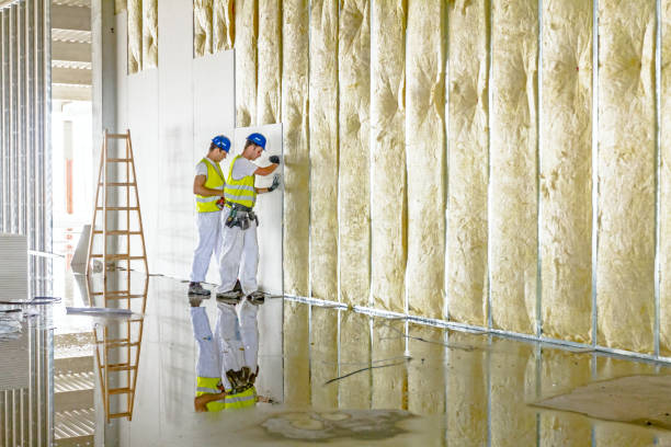 Best Attic Insulation Installation  in Pass Christian, MS